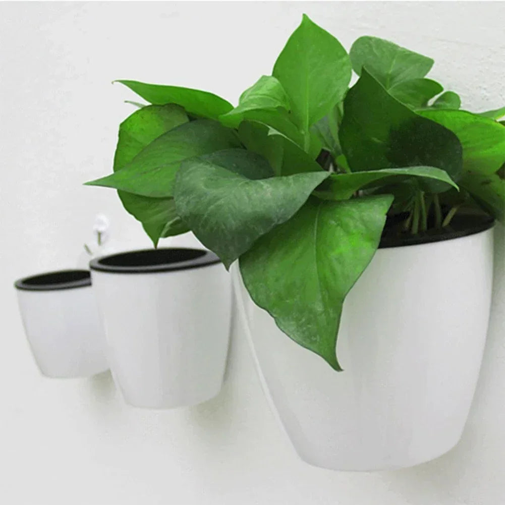 “Maceta de Pared de Plástico con Sistema de Autorriego | Diseño Creativo para Plantas y Flores, Ideal para Colgar en Paredes y Añadir Estilo y Frescura a tu Hogar.”