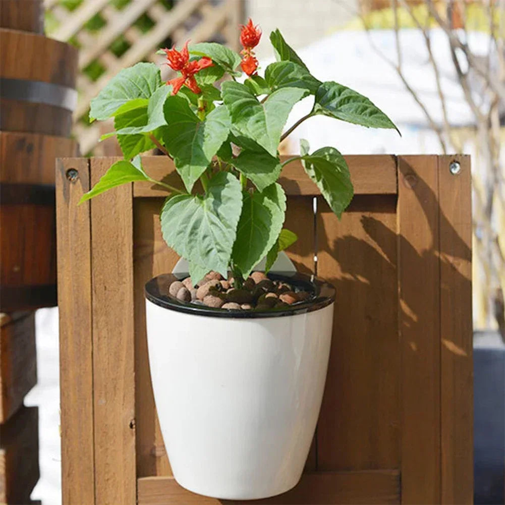 “Maceta de Pared de Plástico con Sistema de Autorriego | Diseño Creativo para Plantas y Flores, Ideal para Colgar en Paredes y Añadir Estilo y Frescura a tu Hogar.”